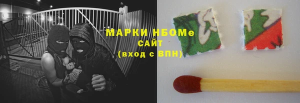 прущие грибы Тайга