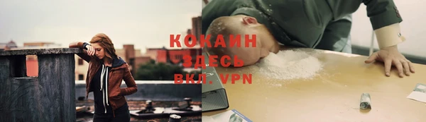соль ск Богородицк
