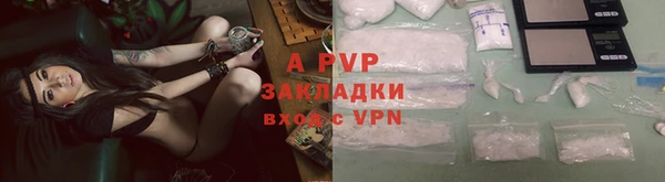 гашиш Богданович