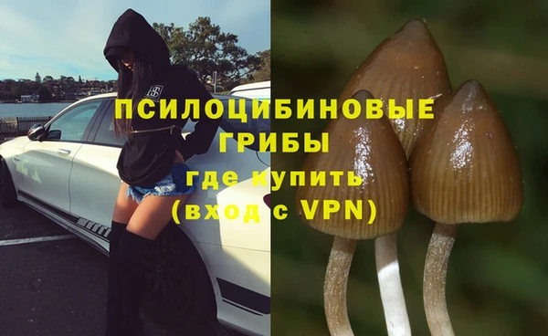 кокаин премиум Белокуриха