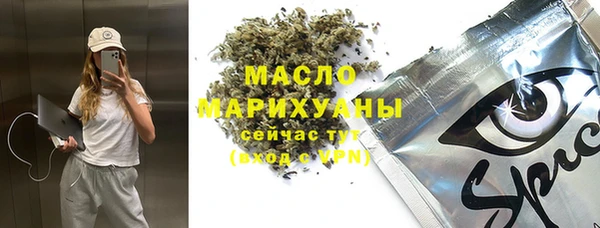 гашиш Богданович