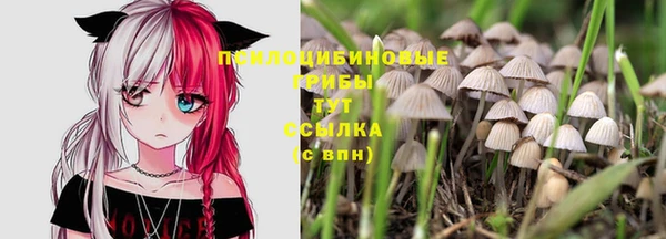 гашиш Богданович